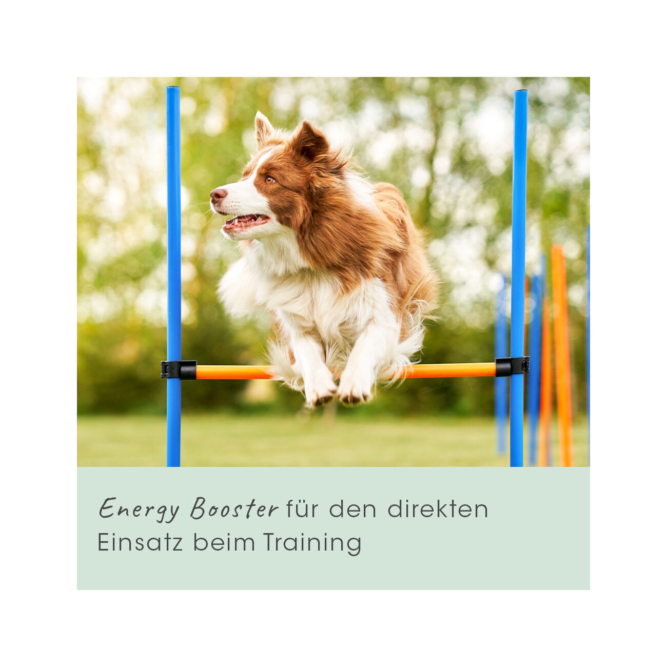 cdVet EnergyUp 450g