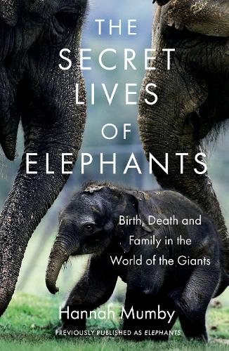 The Secret Lives of Elephants: Birth, Death and Family in the World of the Giants (Paperback)