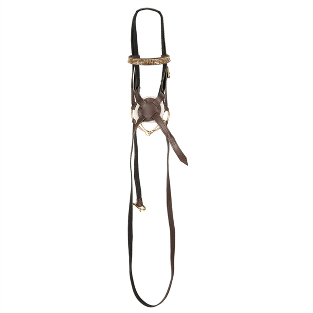 Køb Cheval Roi Mexicansk Hovedtøj Champagne Crystal | Luksusbaby