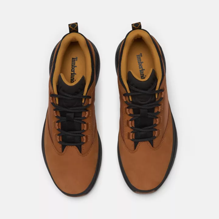 Chaussures de randonnée basses Euro Trekker pour homme en jaune