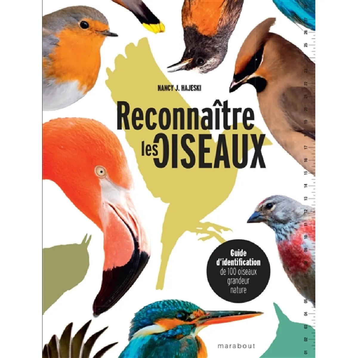 Reconnaître les oiseaux : guide d'identification de 100 oiseaux grandeur nature