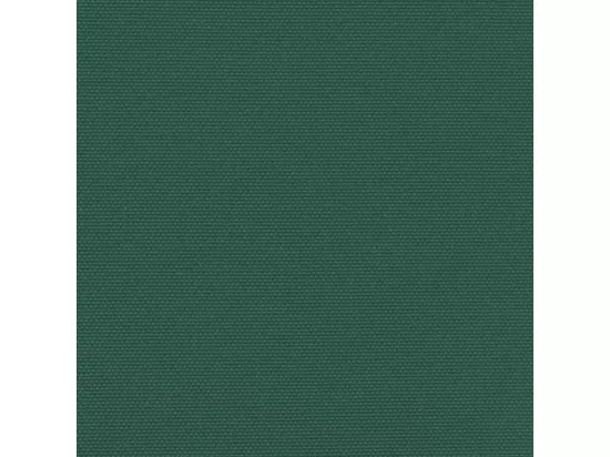 Auvent latéral rétractable vert foncé 180x600 cm