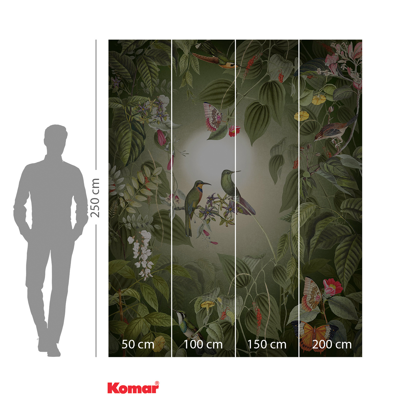 Vlies-Fototapete WILDLIFE BIRDS - 200x250 cm
