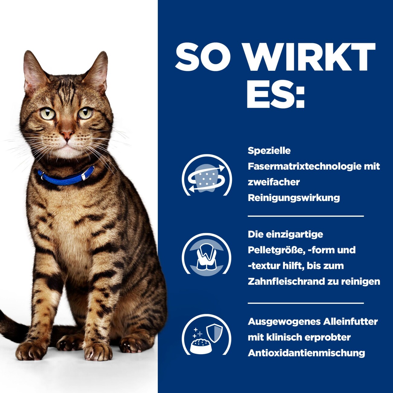 Hill's Prescription Diet t/d mit Huhn zur Zahnpflege 3 kg