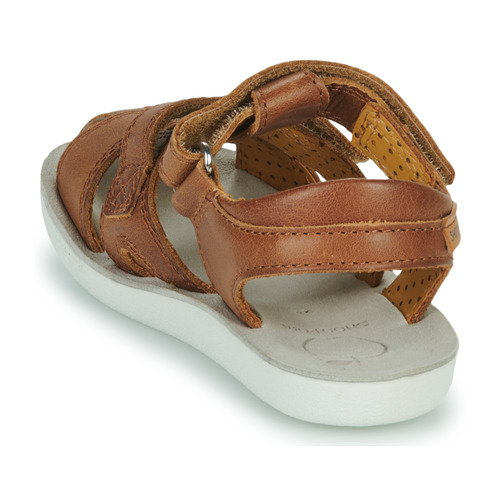 Shoo Pom - GOA NEW SCRATCH - Marron