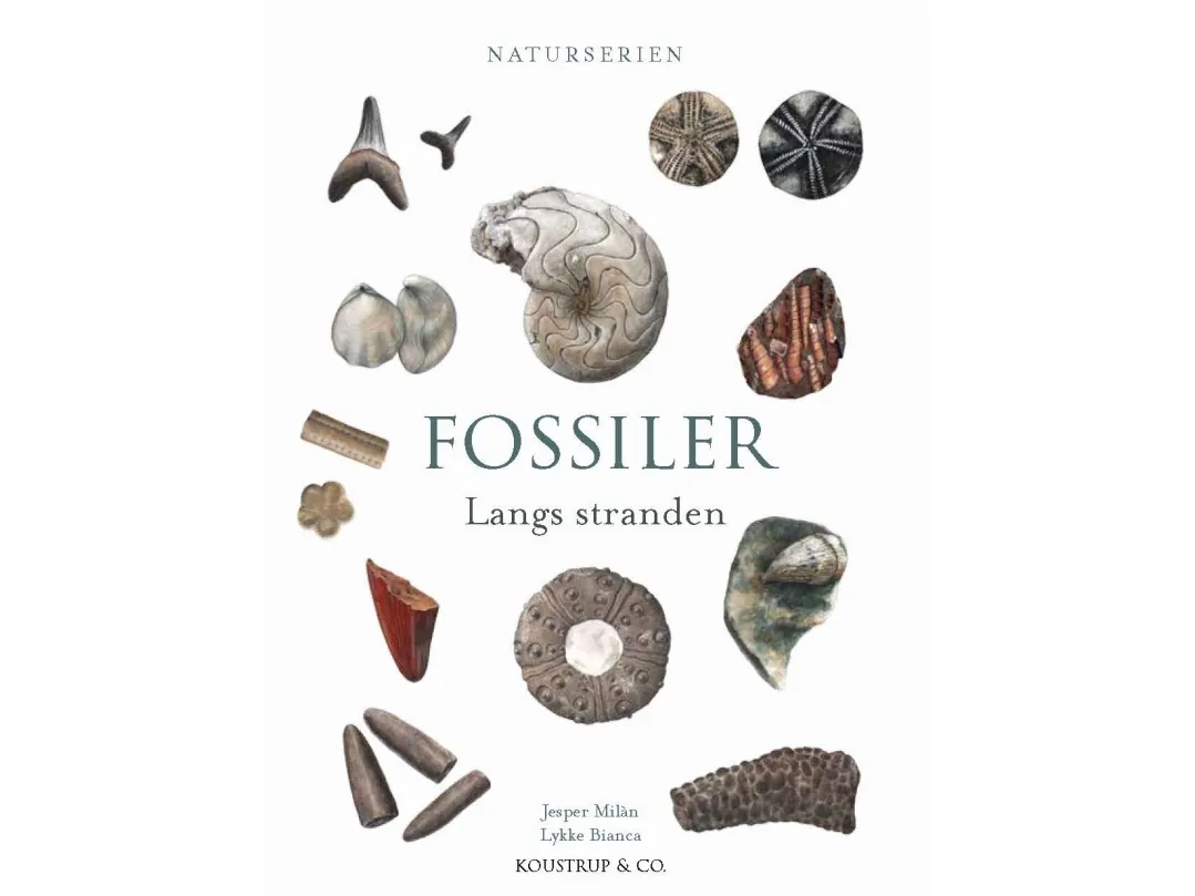 FOSSILER | Jesper Milan
