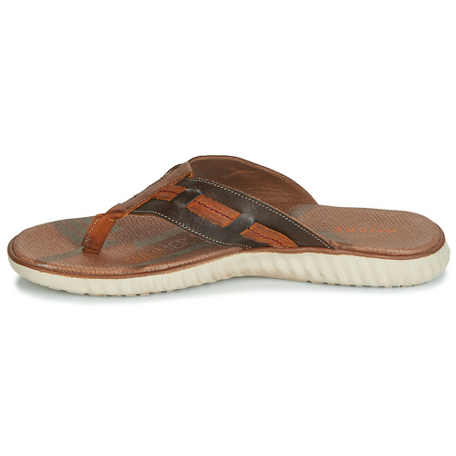 André - ARAGOSTA Marrón