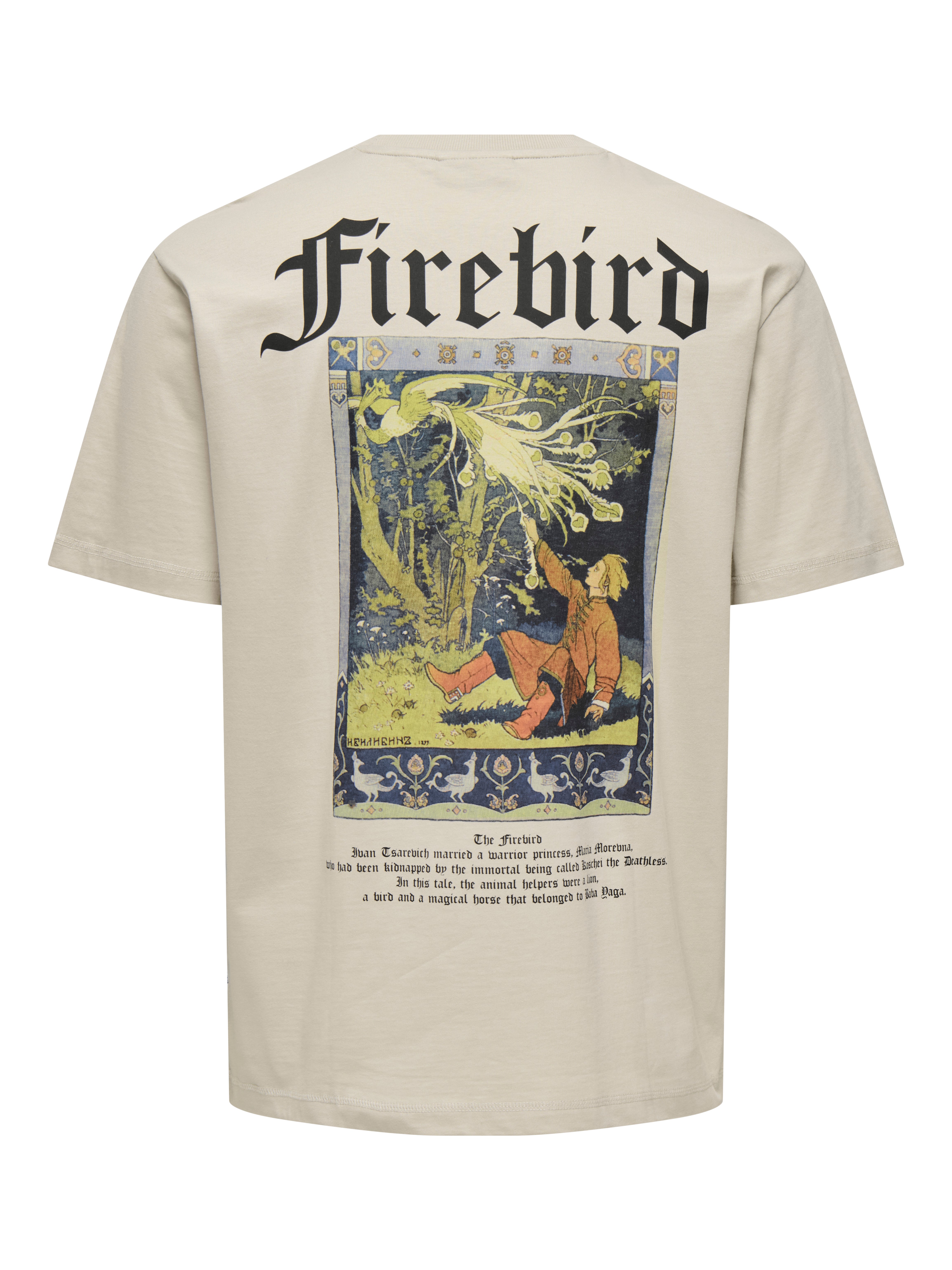 ONSKYLO T-shirt Silver Lining