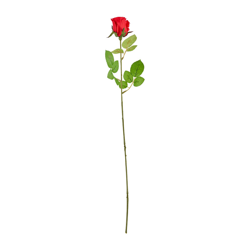 Mercedes roos - rood - 49 cm