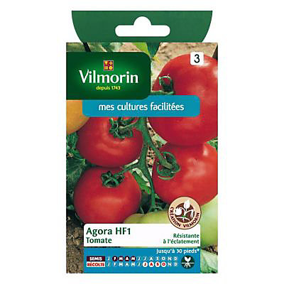 Graines de Tomate Agora Hybride F1 Vilmorin