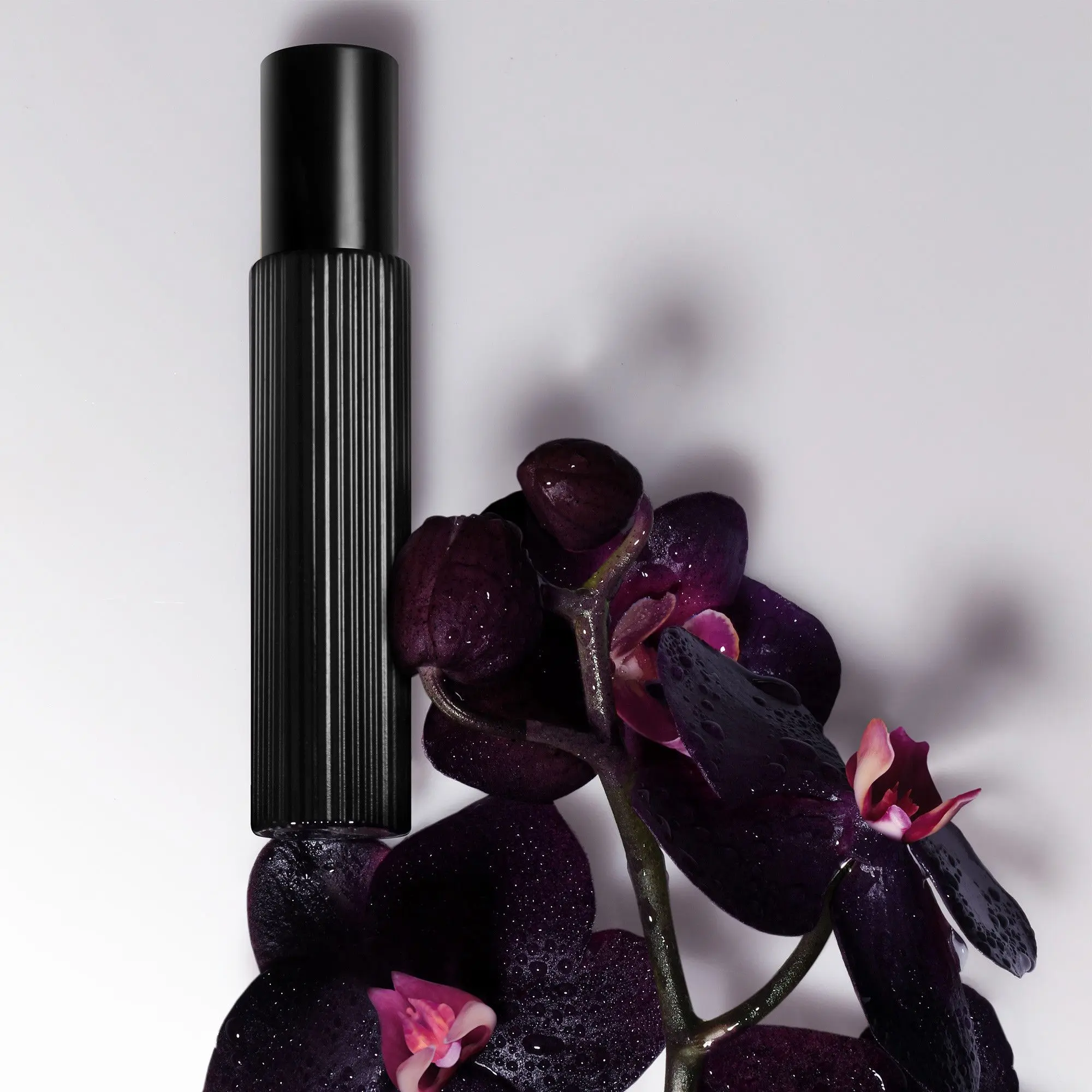 Tom Ford - Black Orchid Eau de Parfum- Nouveautés