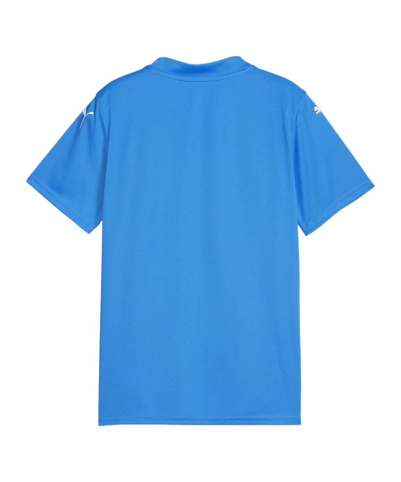 PUMA teamGLORY Trikot Kids Blau Weiss Blau F02