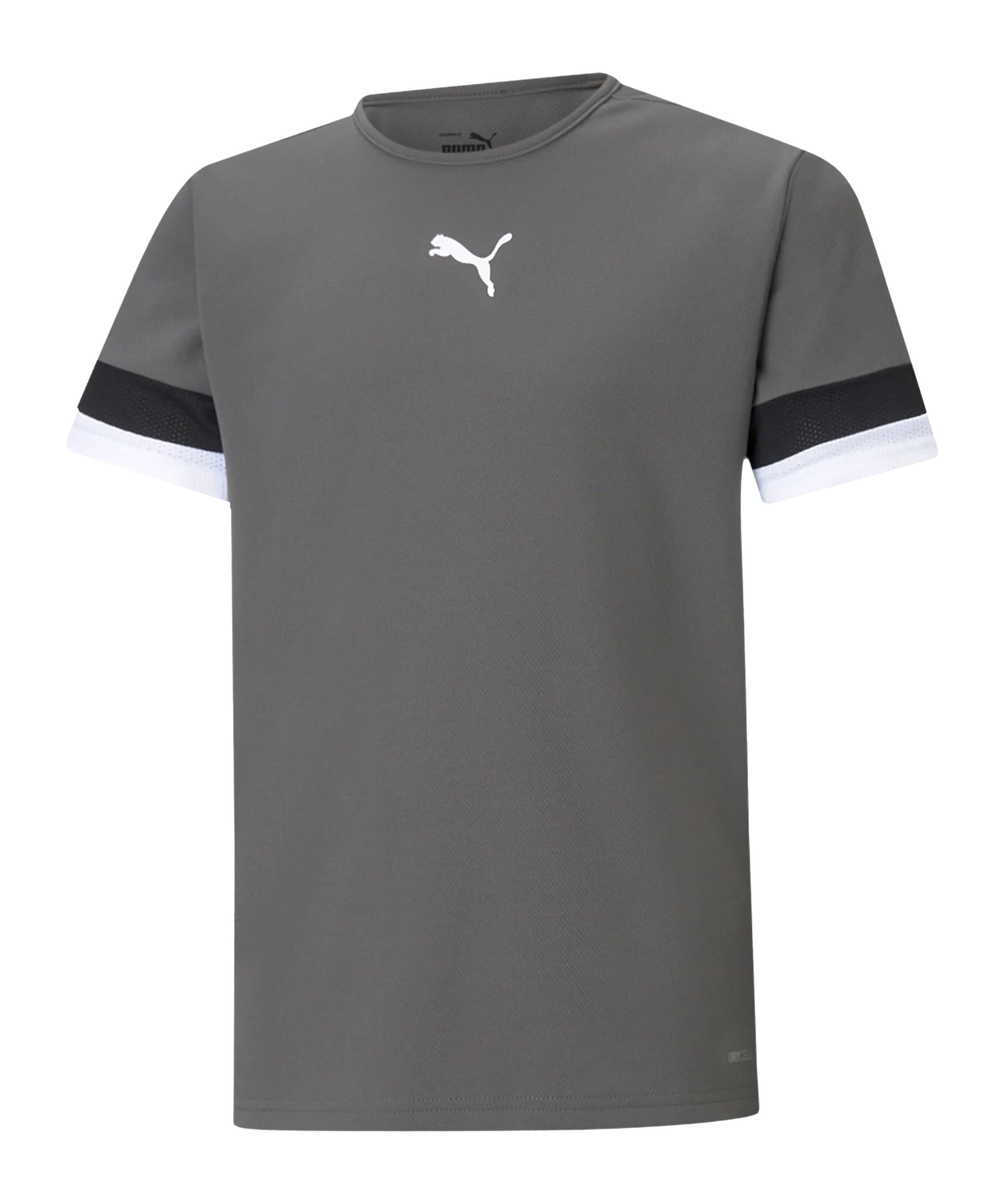 PUMA teamRISE Trikot Kids Grau F13