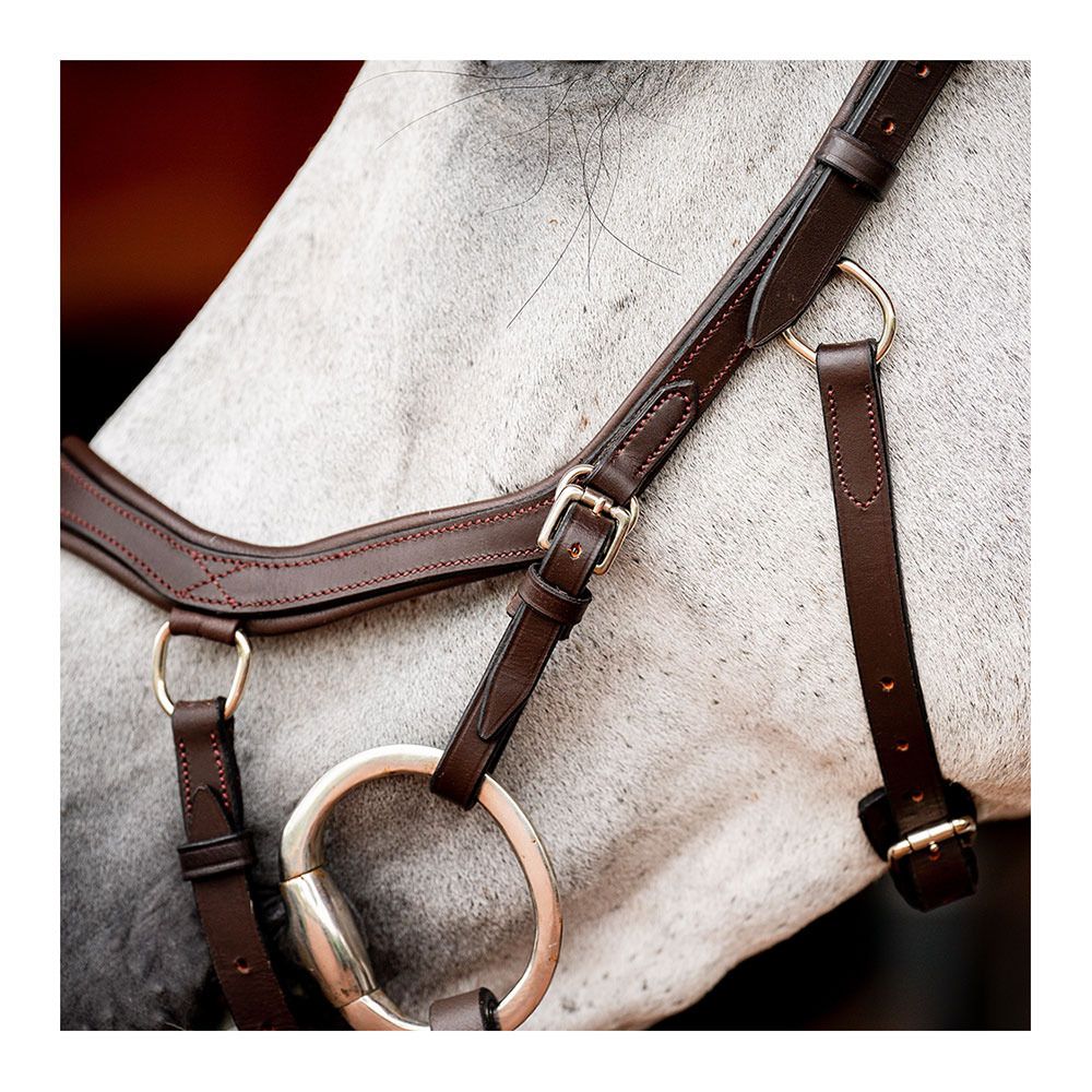 Horseware MICKLEM 2 COMPETITION - Bridon havana