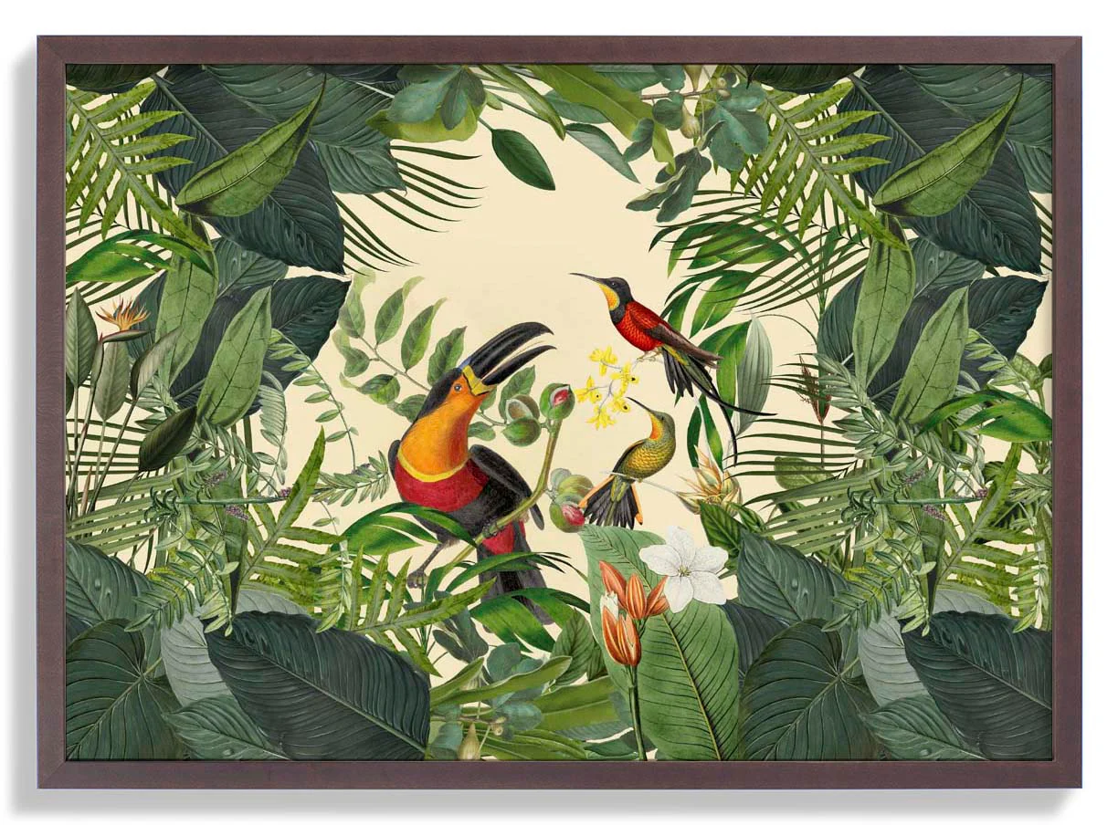 Tropischer Tukan von Andrea Haase