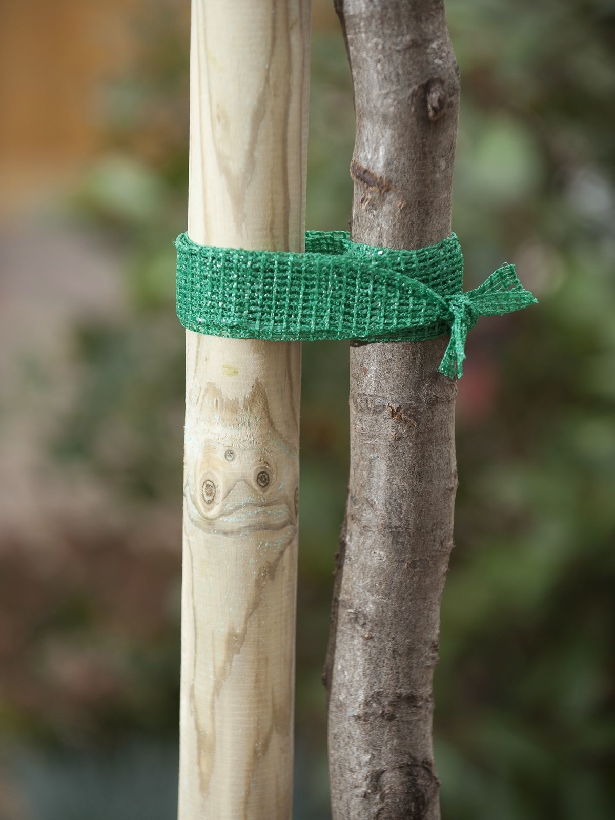 Nature Uni boomband 4x200cm groen