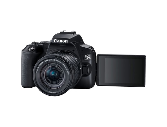 CANON - Appareil photo numérique reflex EOS 250D Noir EF-S 18-55 IS STM