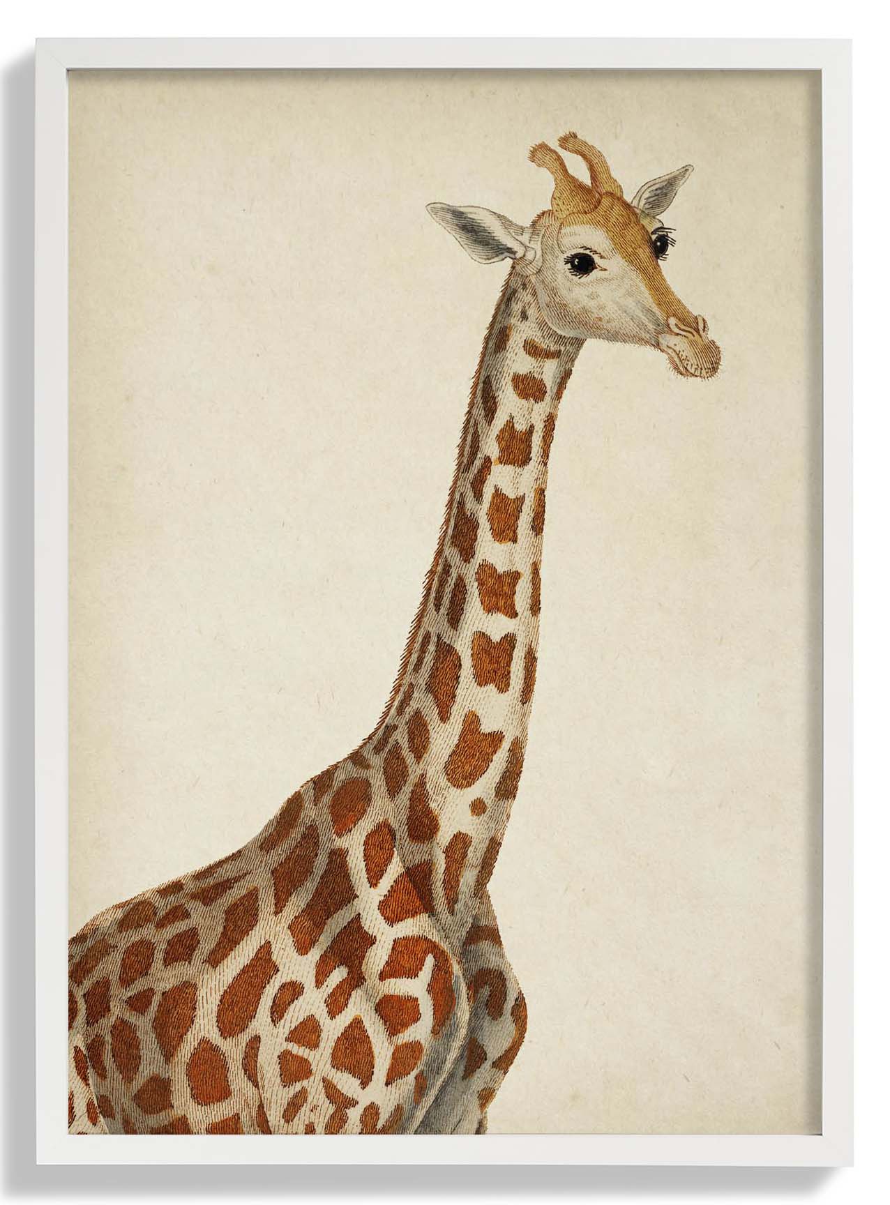 Antike Giraffe