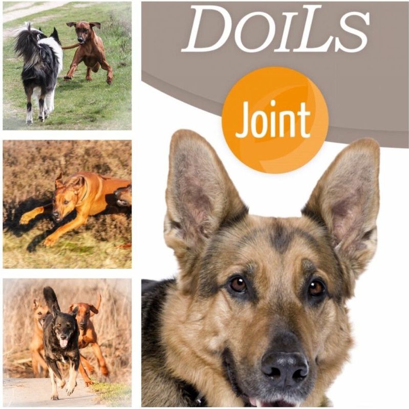 Doils Gewricht supplement Doils Joint Hond - 236 ml