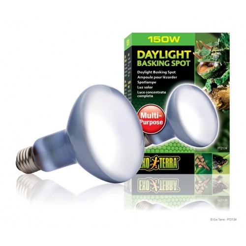 Lâmpada focal EXO TERRA SUN GLO 75 W
