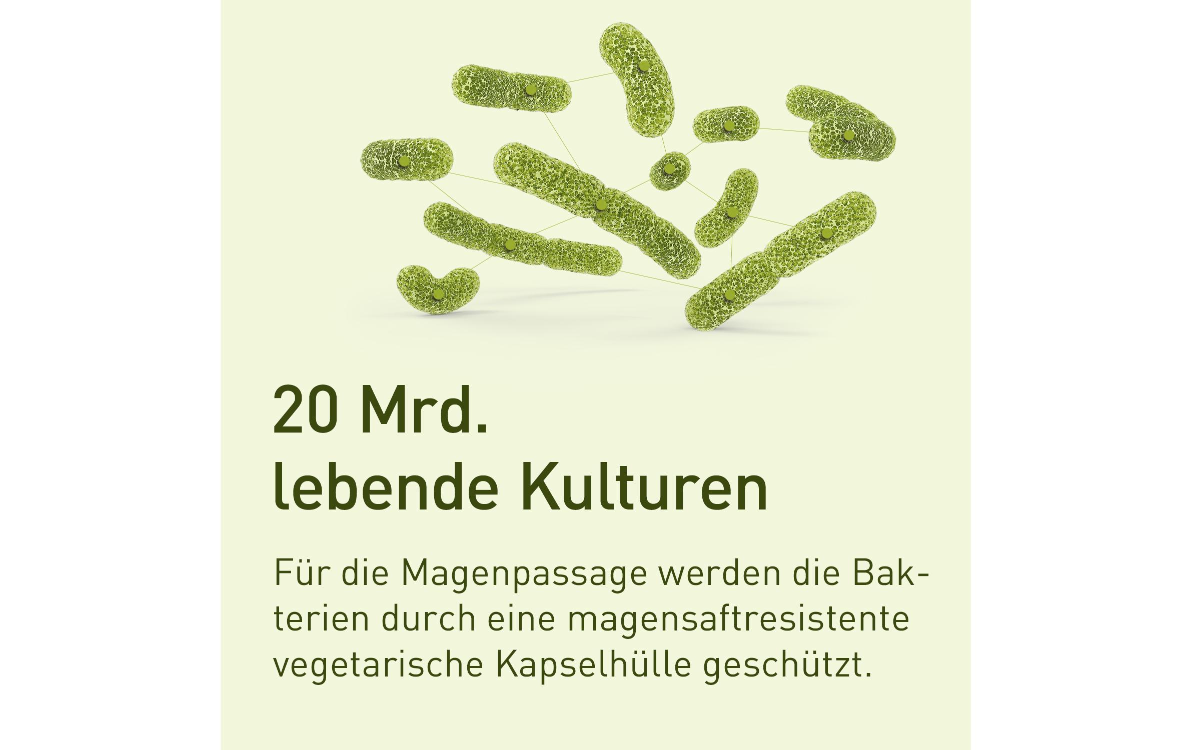 probaflor 60 KapselnProbiotika Kapseln zur Unterstützung der Verdauung