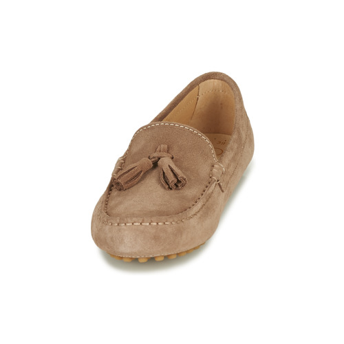 Casual Attitude - GATO - Taupe