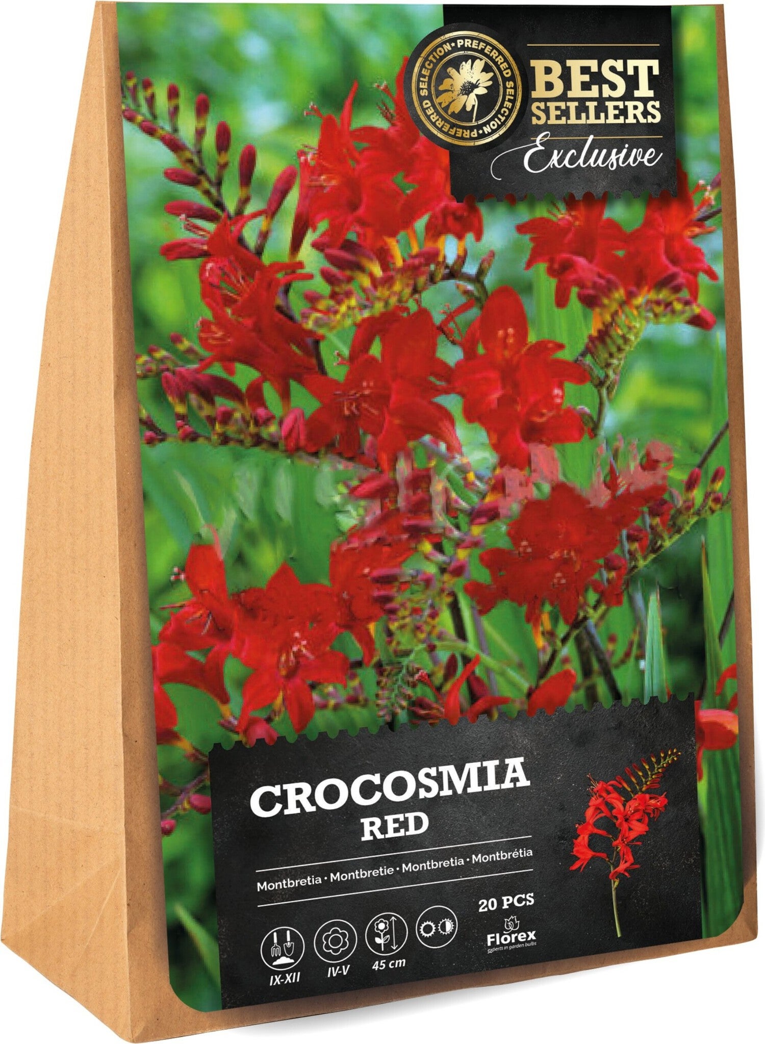 Florex bloembol Montbretia (Crocosmia 'Lucifer') 20 stuks