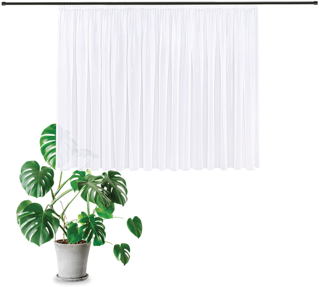 Gerster Gardine »Laura« Smokband 1 Stk. tlg. Elegante Voile Grundware