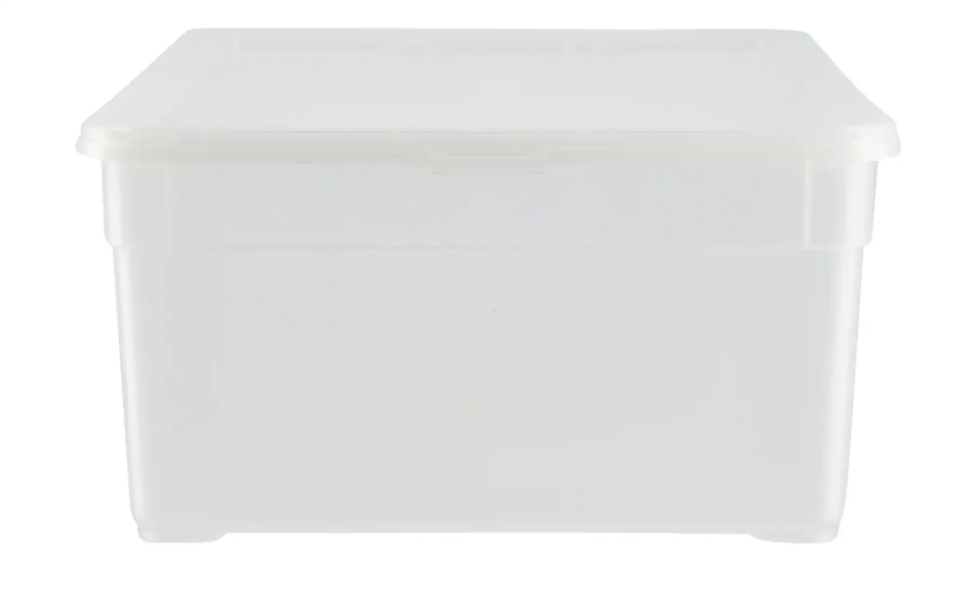 Rotho Aufbewahrungsbox, 3er Set