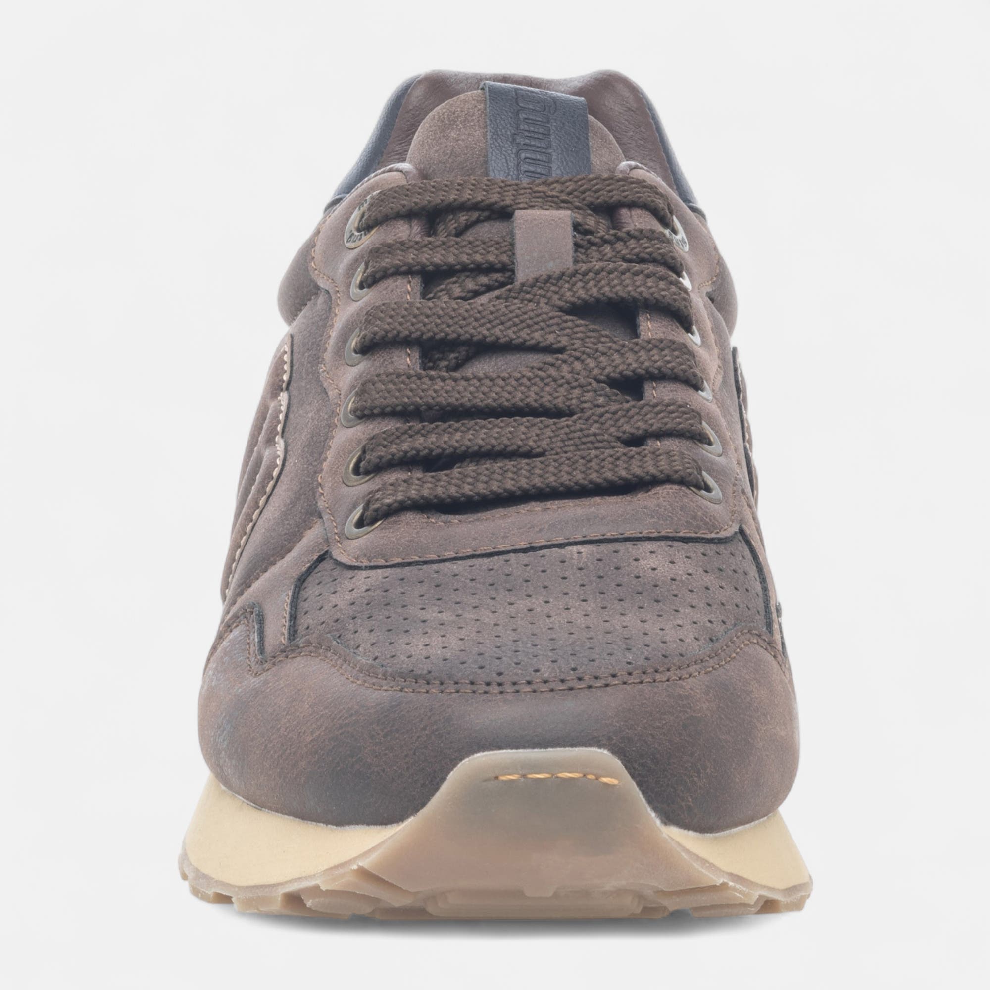 Baskets basses Homme marron