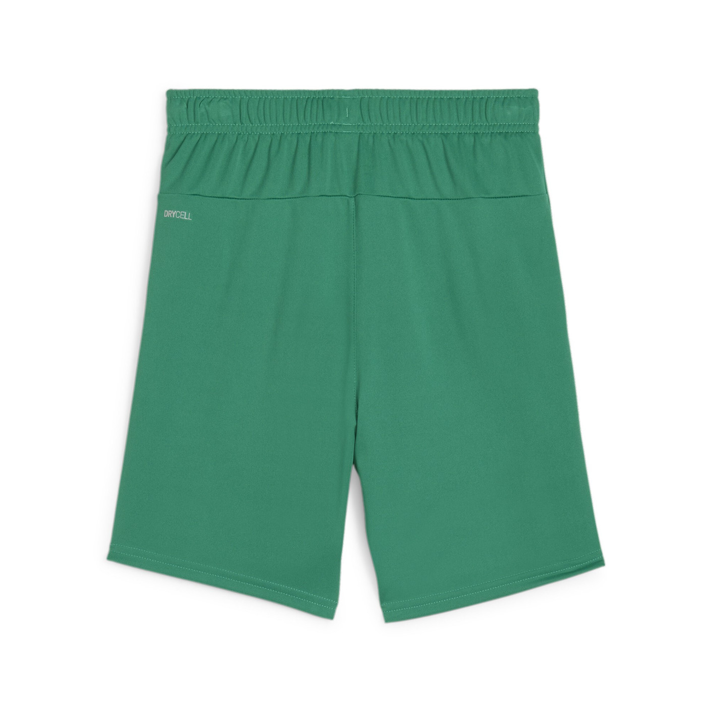 PUMA teamGOAL Matchday Voetbaltenue Kids Groen Wit