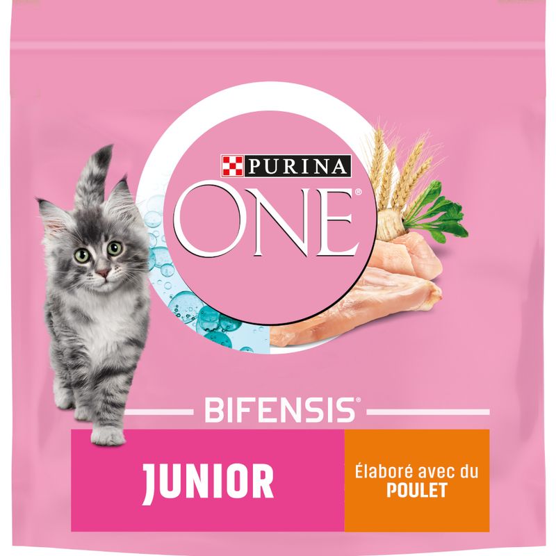 PURINA ONE Junior au poulet pour chaton à prix discount sur bitiba.fr