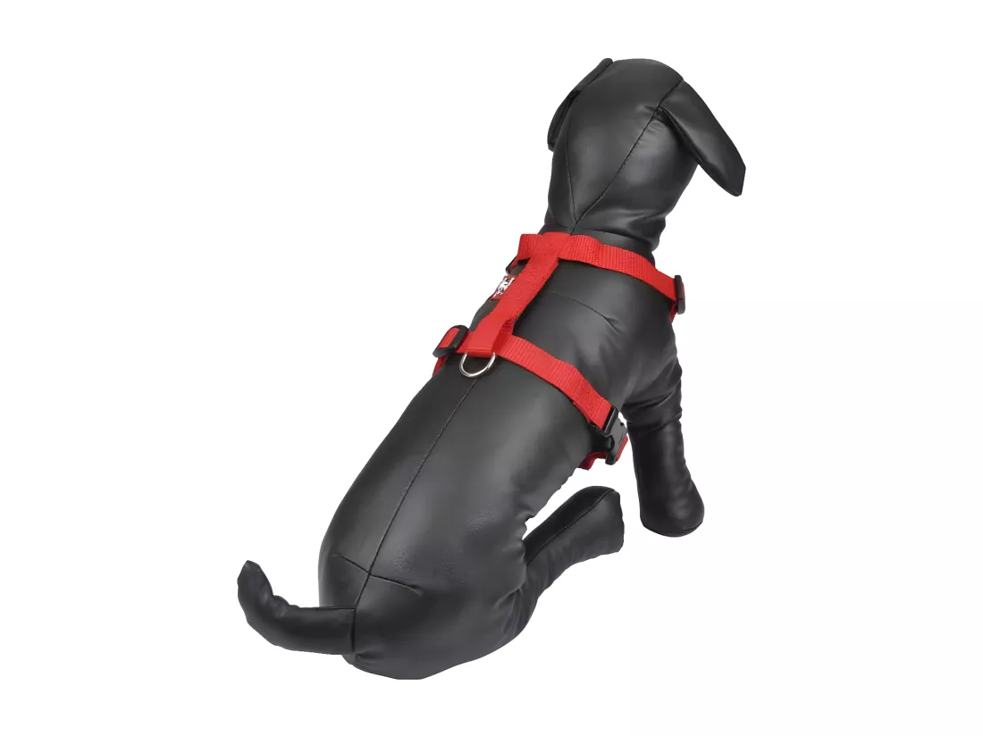 Harnais pour Chien 