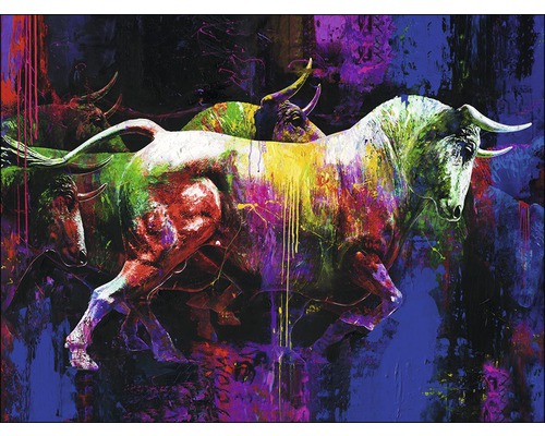 Canvas schilderij Kleurrijke Stier II 84x116 cm