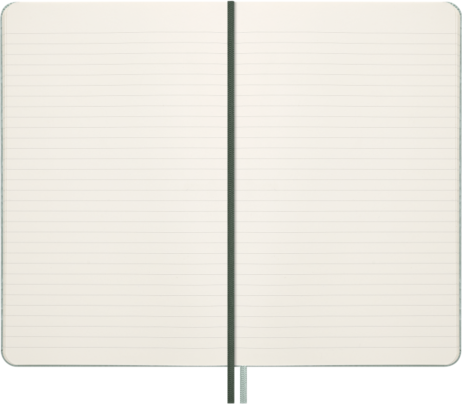 Year of the Snake Notebook Large, Ruled, 100% VEGEA® Hard Cover & Gift Box