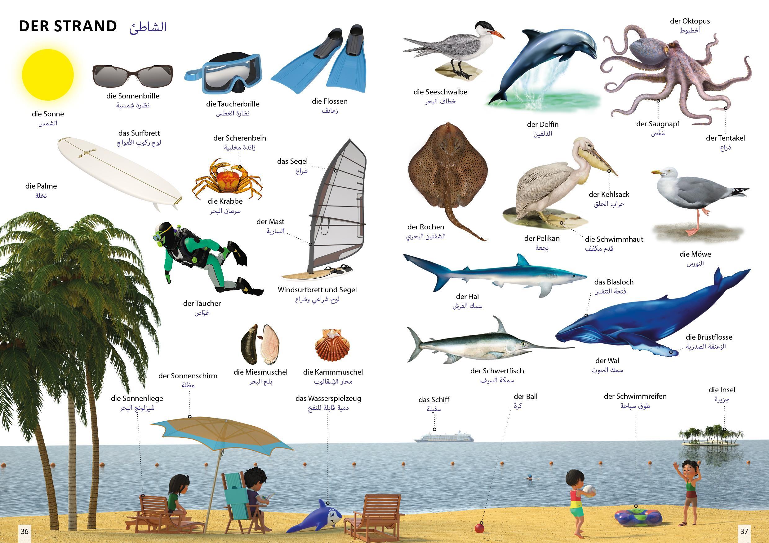 Bildwörterbuch für Kinder und Eltern Arabisch-Deutsch