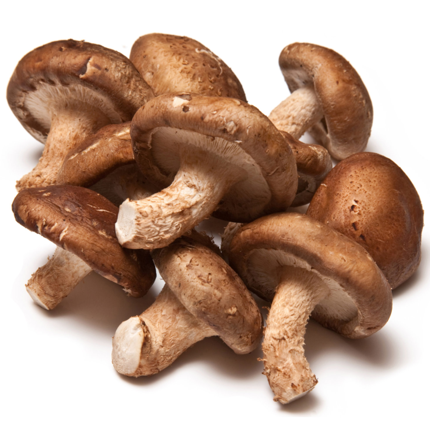 Naturaplan Bio Shiitake-Pilze ca. 100g -