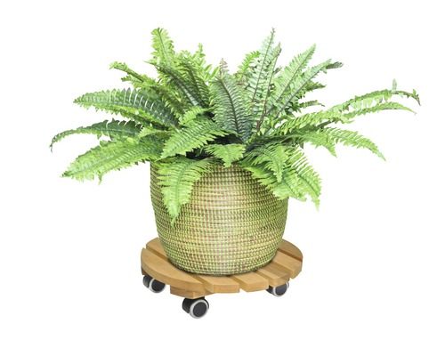 Wagner plantenwagen, els Ø 34 cm, TK 100 kg
