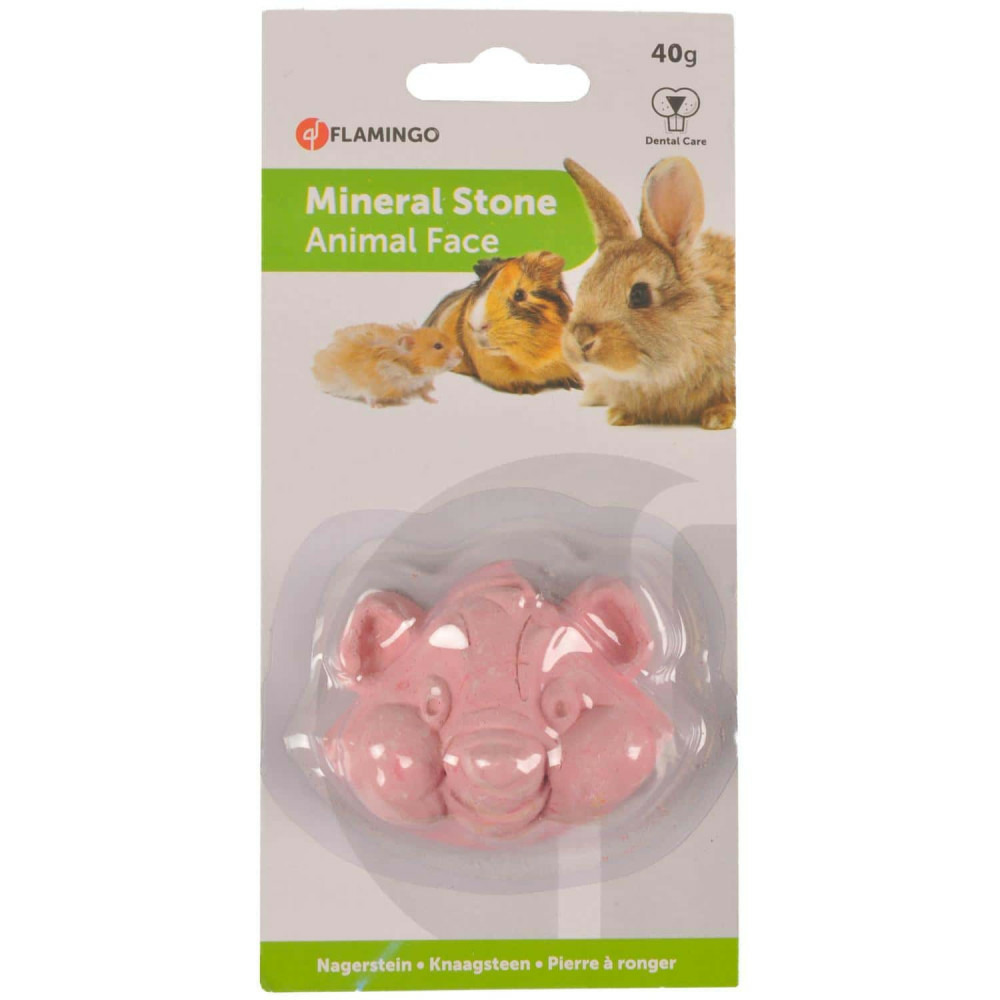 Pierre ronger forme hamster 40 g pour rongeurs
