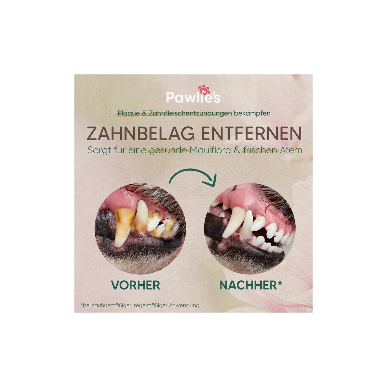 Pawlie's Zahnpflege Zahncreme