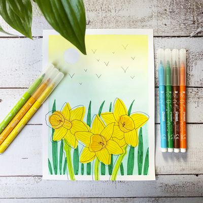 Pentel Arts - Boite de 12 feutres de coloriage - encre ultra-lavable SCS2E-24