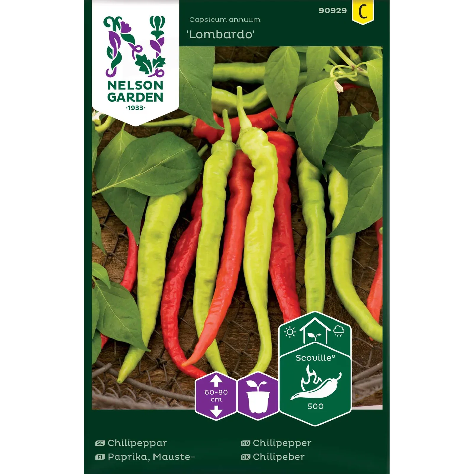 Capsicum annuum 'Lombardo Chilipepper 'Lombardo'