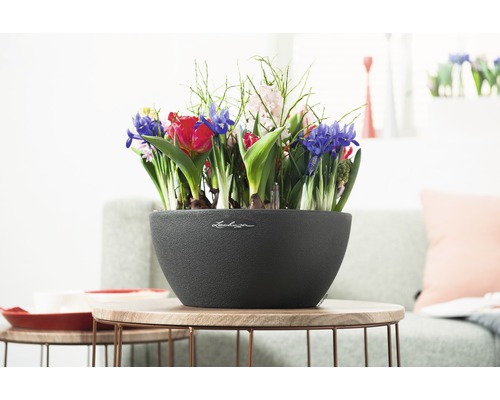 Cubeto Stone kunststof bloempot, 30x30x13 cm, zwart, inclusief zelfbewateringssysteem en waterniveau-indicator