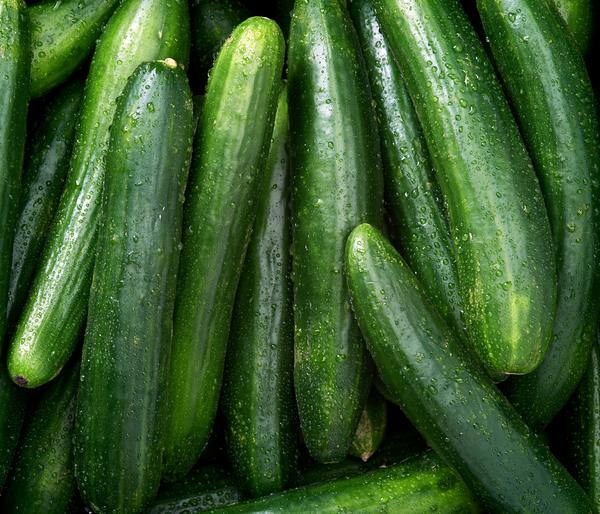 Dehner Bio-Saatgut Salatgurke 'Tanja'