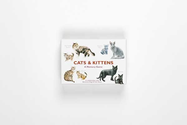 Cats & Kittens: A Memory Game