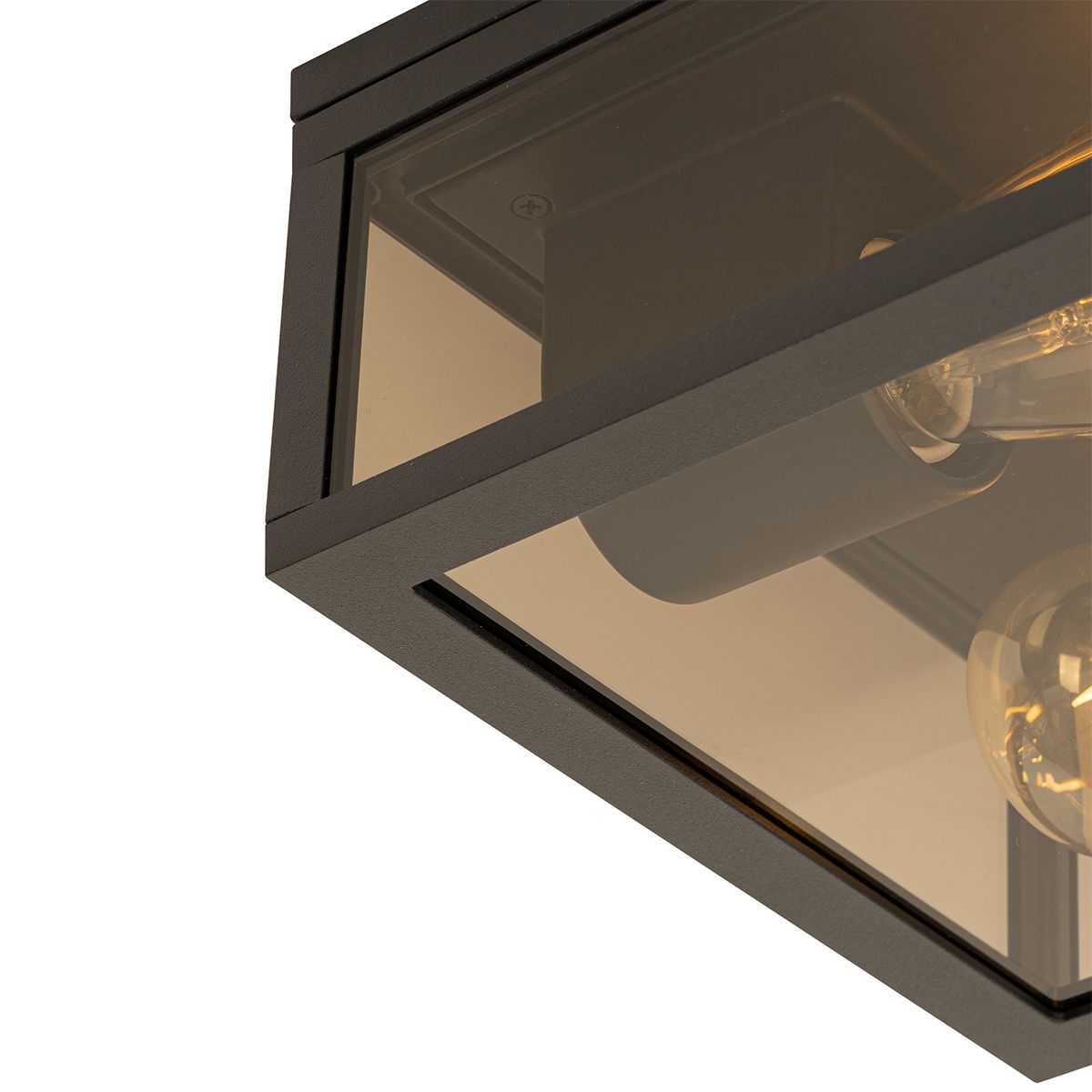 Plafondlamp zwart met smoke glas 2-lichts IP44 - Charlois