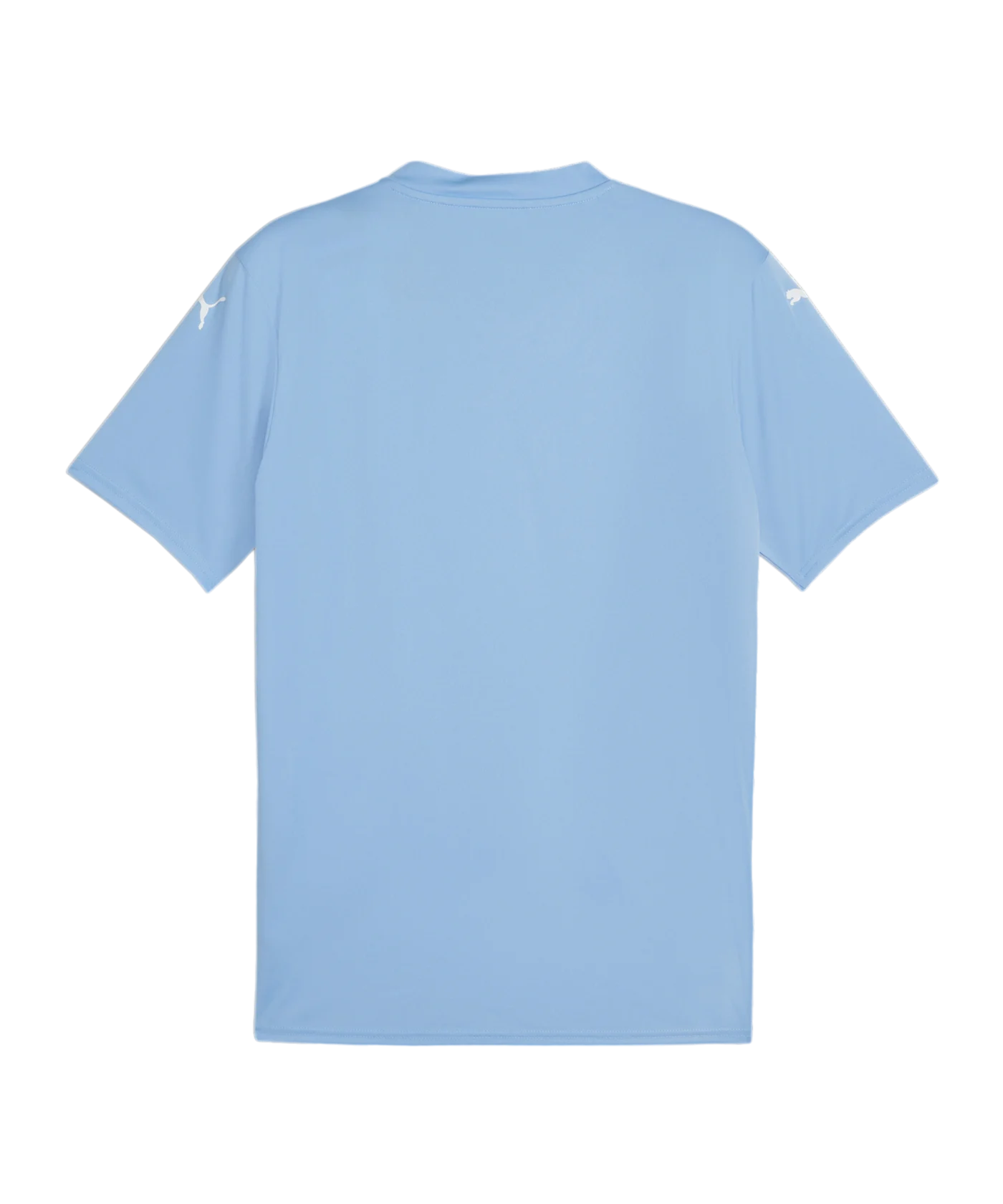 PUMA teamGLORY Trikot Blau Weiss Blau F18
