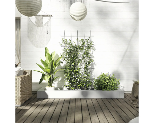 Lafiora ijzeren trellis 45x150 cm antraciet