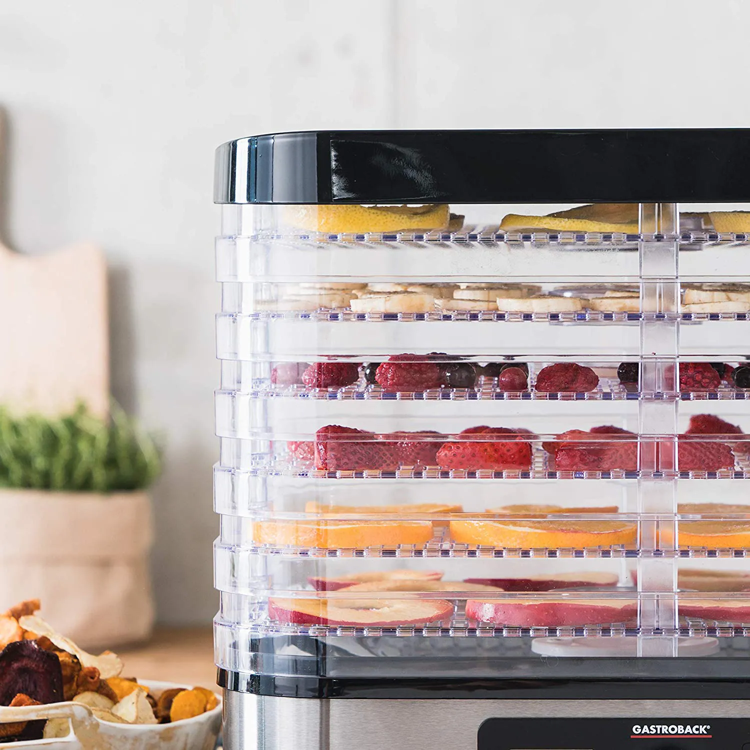 GASTROBACK Dehydrator