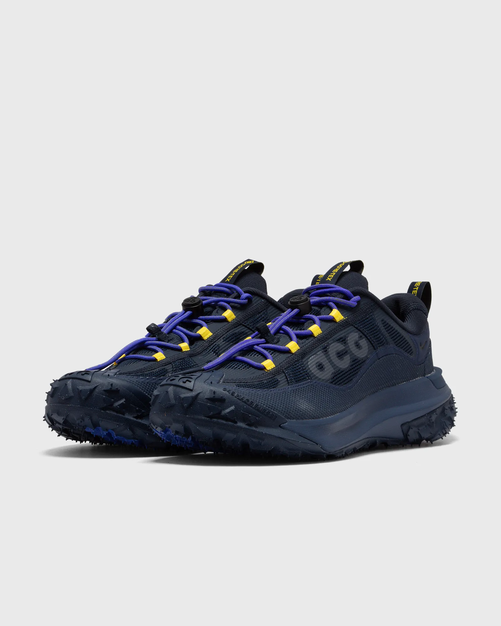 Nike ACG MOUNTAIN FLY 2 LOW GTX
